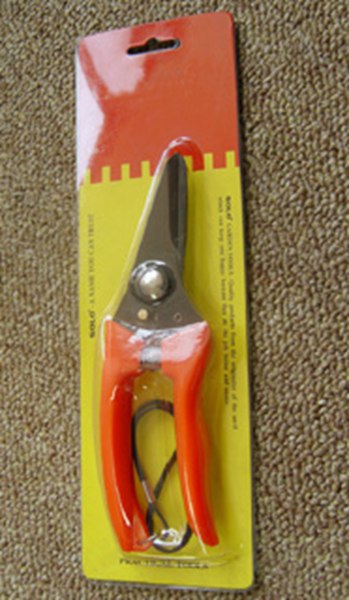 PET�۱�����