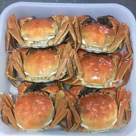 ��Ϻ�з���ܺ� ��������